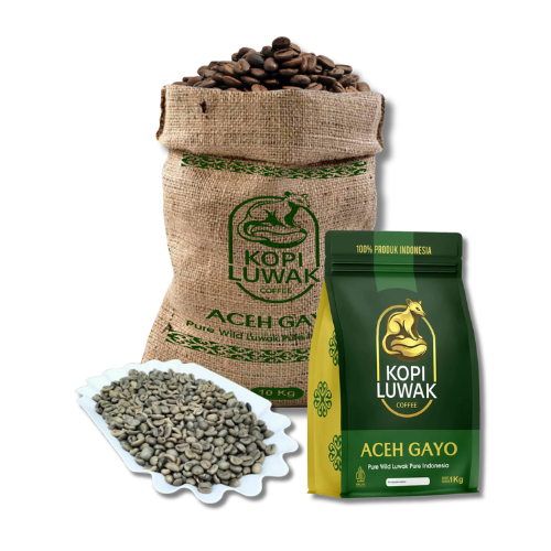 Aceh Gayo Luwak
