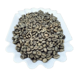 Bali Kintamani Luwak