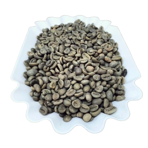 Bali Kintamani Luwak