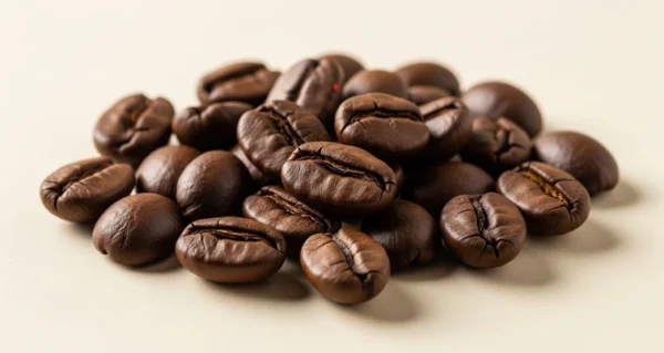Bolivia Caranavi (Washed Gesha / Java)