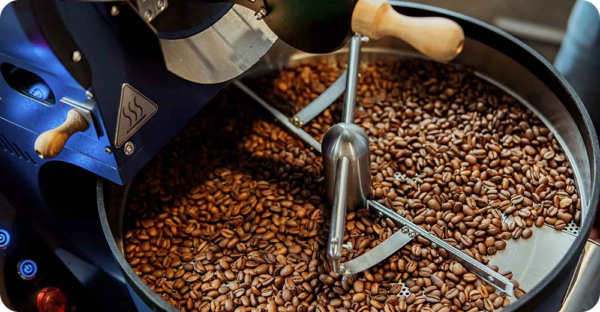 Understanding Coffee Processing & Grading, Part 1