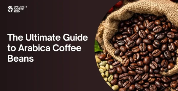 The Ultimate Guide to Arabica Coffee Beans