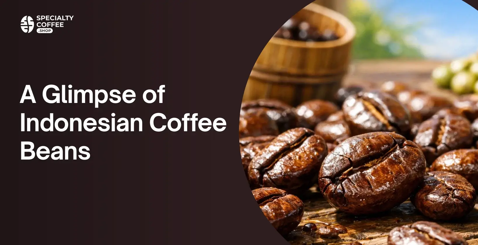 A Glimpse of Indonesian Coffee Beans