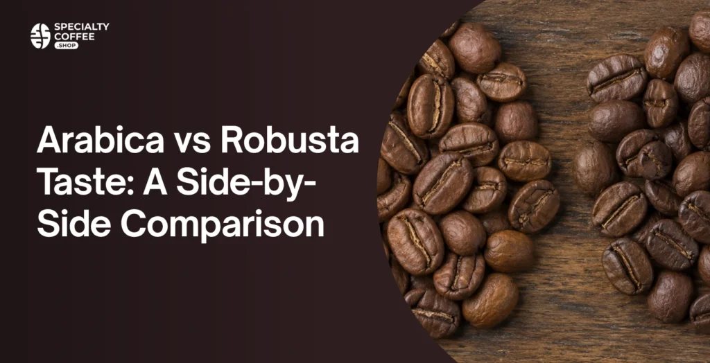 arabica vs robusta taste