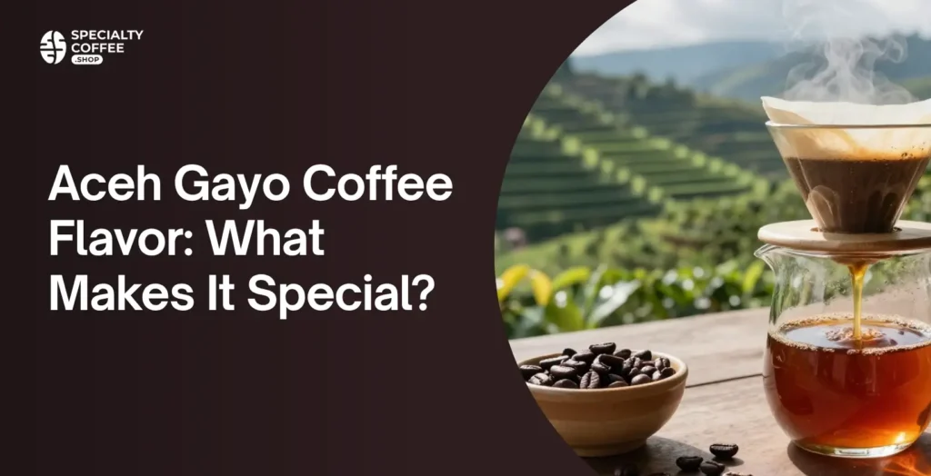 Aceh Gayo Coffee Flavor