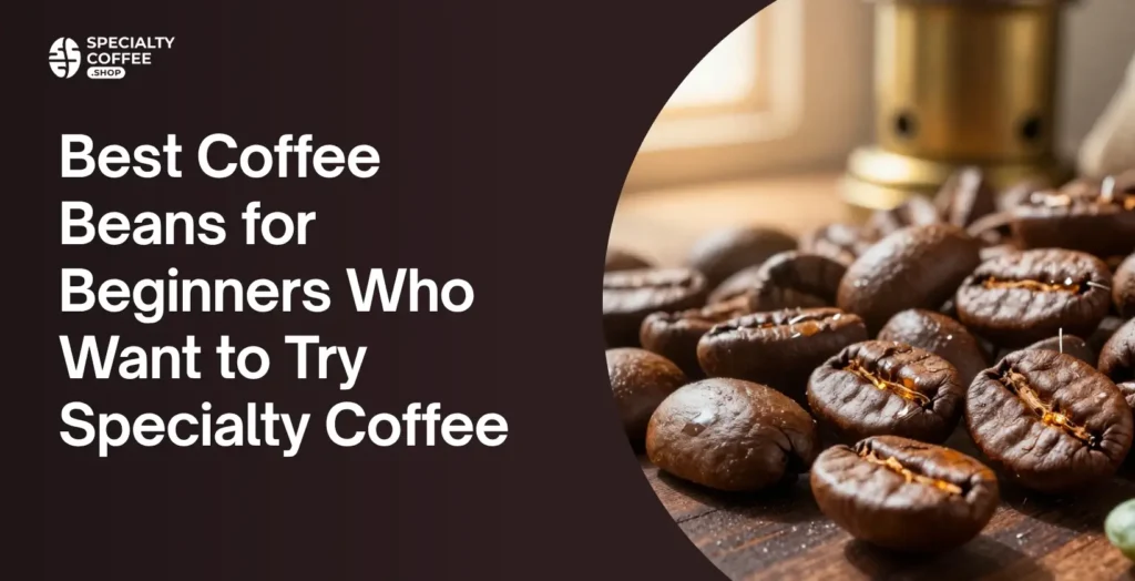 Best Coffee Beans for Beginners
