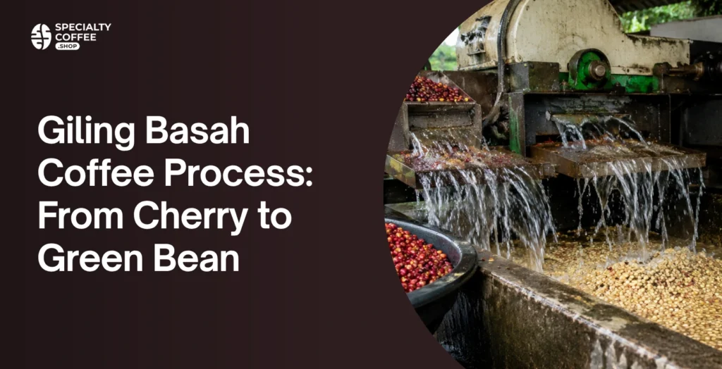 giling basah coffee process