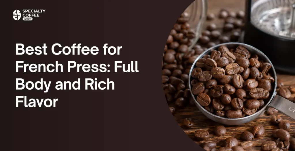 best coffee for french press