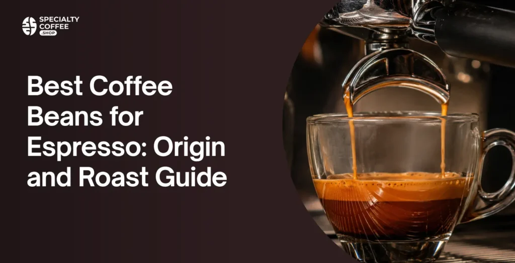 best coffee beans for espresso