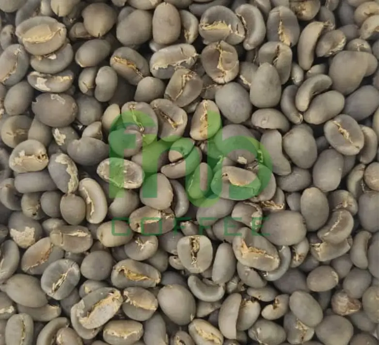 Sumatra Lintong Coffee