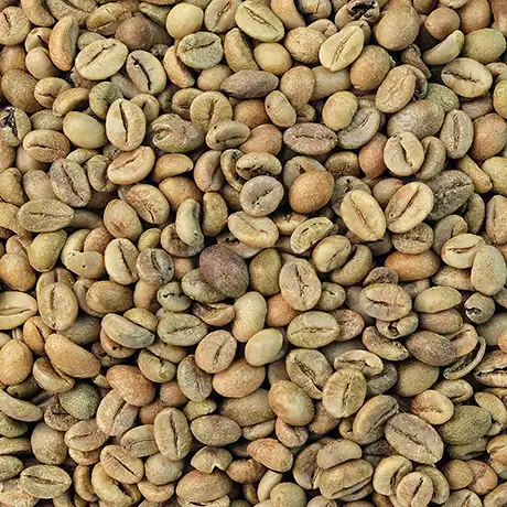 Bali Kintamani Arabica