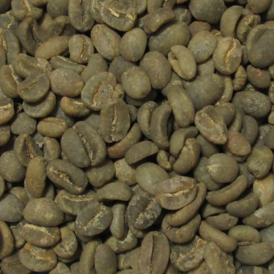 Kopi Luwak Coffee