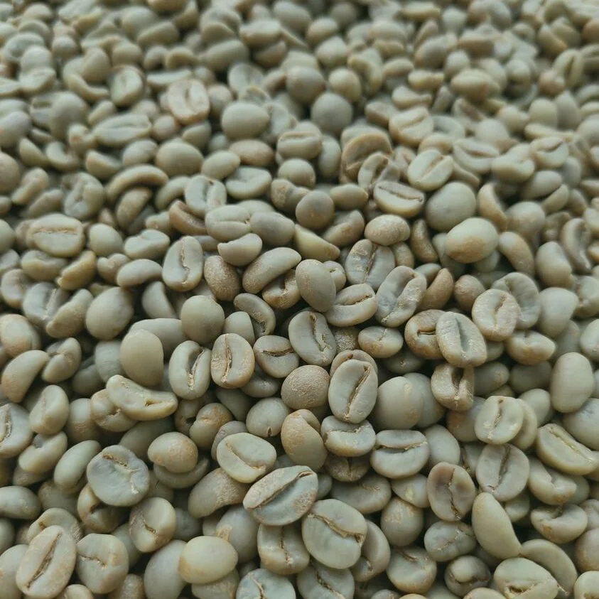 Sumatera Mandheling